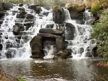 The Cascade photo by Christine Horner