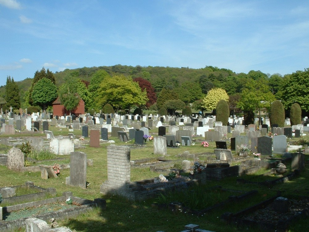 Photograph of View from Sandy cemetry