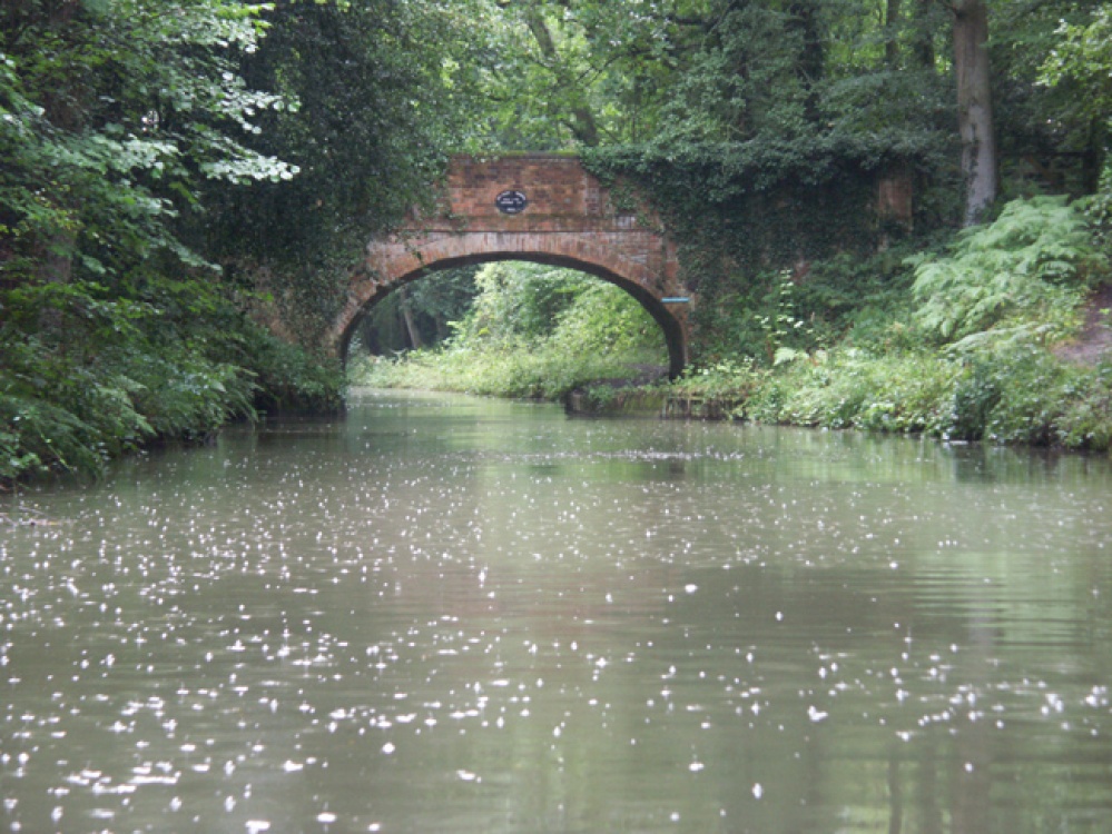 Basingstoke Canal, Fleet