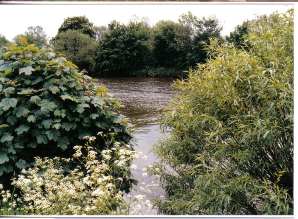 Photograph of River Thames at Eton Wick, Berkshire