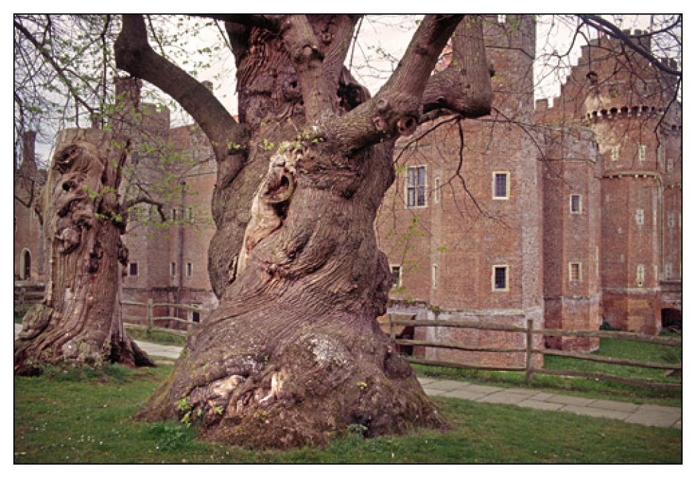 Herstmonceux Castle, East Sussex photo by Herman Pijpers