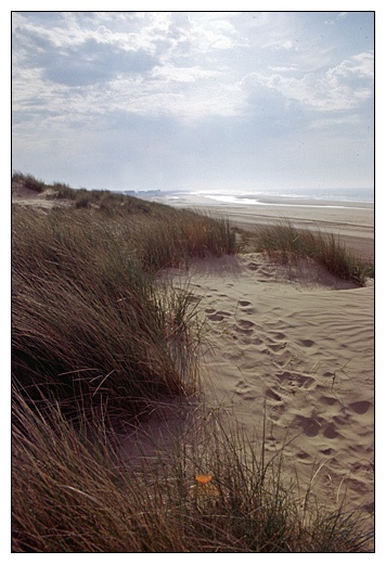Beach at Camber, East Sussex