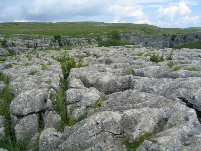 Tesellated Pavement, Malham Cove, North Yorkshire