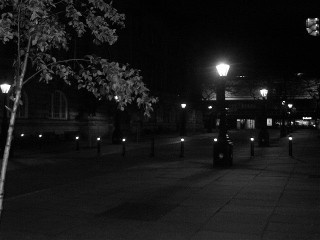 Harris Street at night