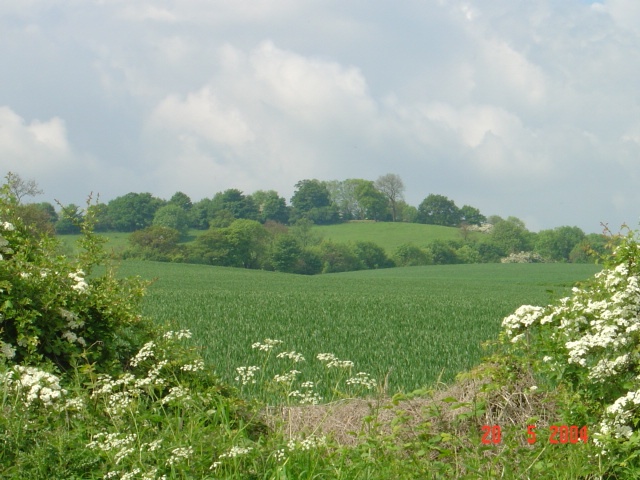 Borough Hill from the bridle path, Norton, Northamptonshire