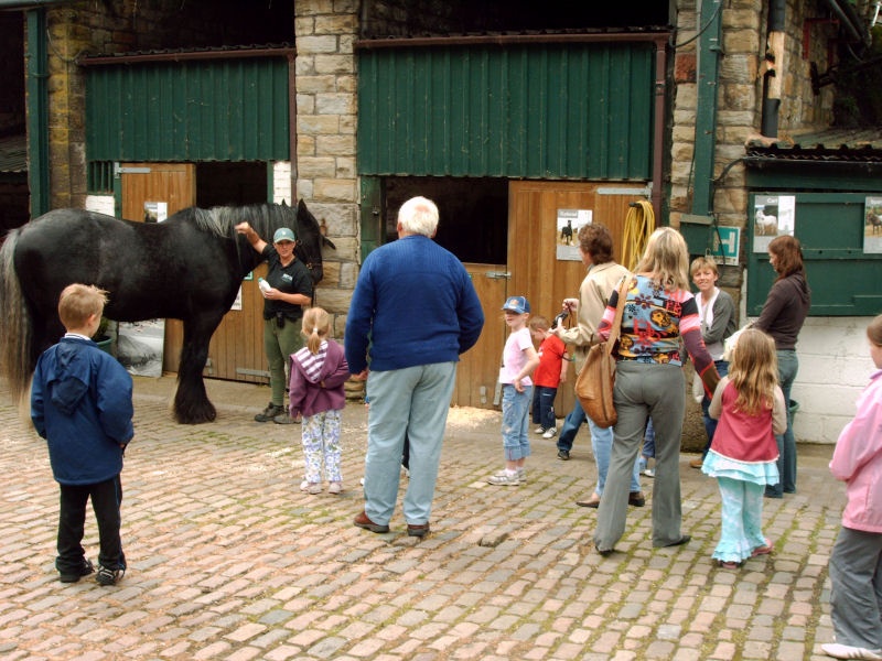 Visiting the stables at The National Coal Mining Museum for England.