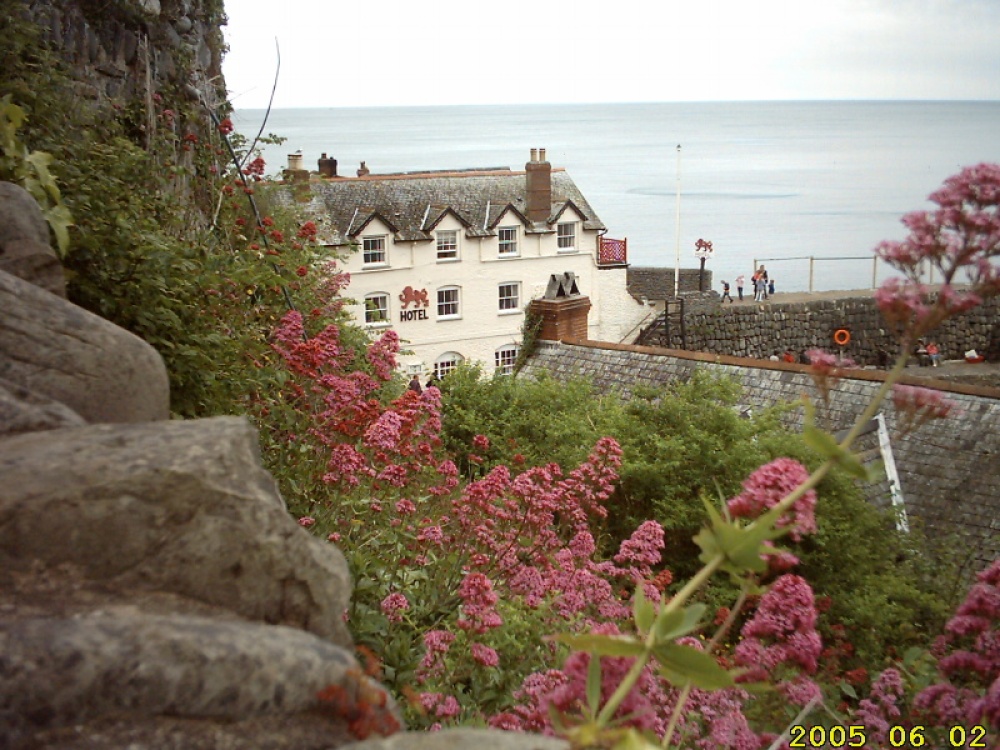 Clovelly, Devon