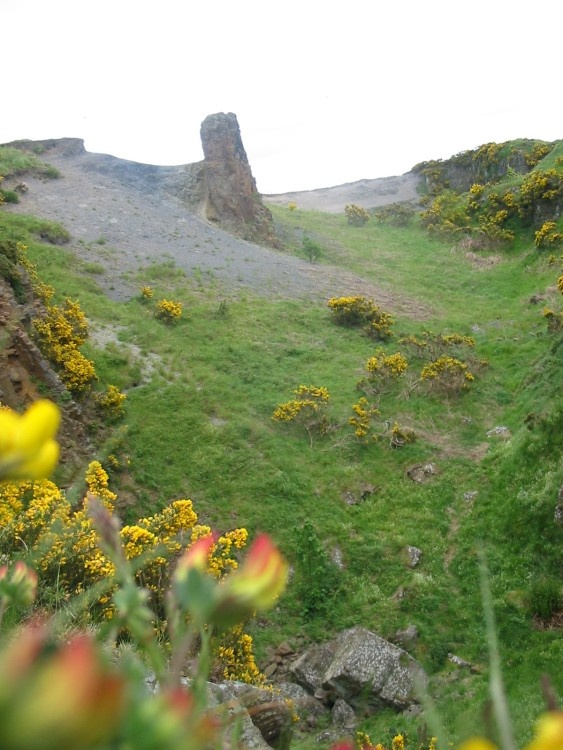 CLIFF RIGG, CLEVELAND