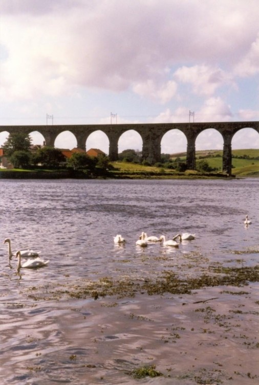 The River Tweed, Northumberland