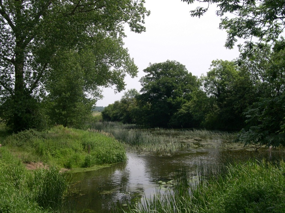 Photograph of View of the Great Ouse from Oakley bridge, Bedfordshire.