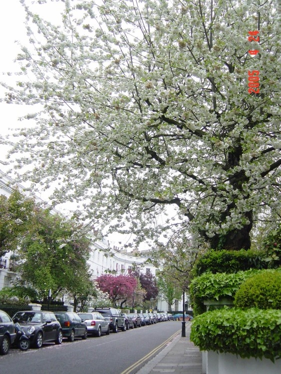 Pelham Place, Chelsea, London