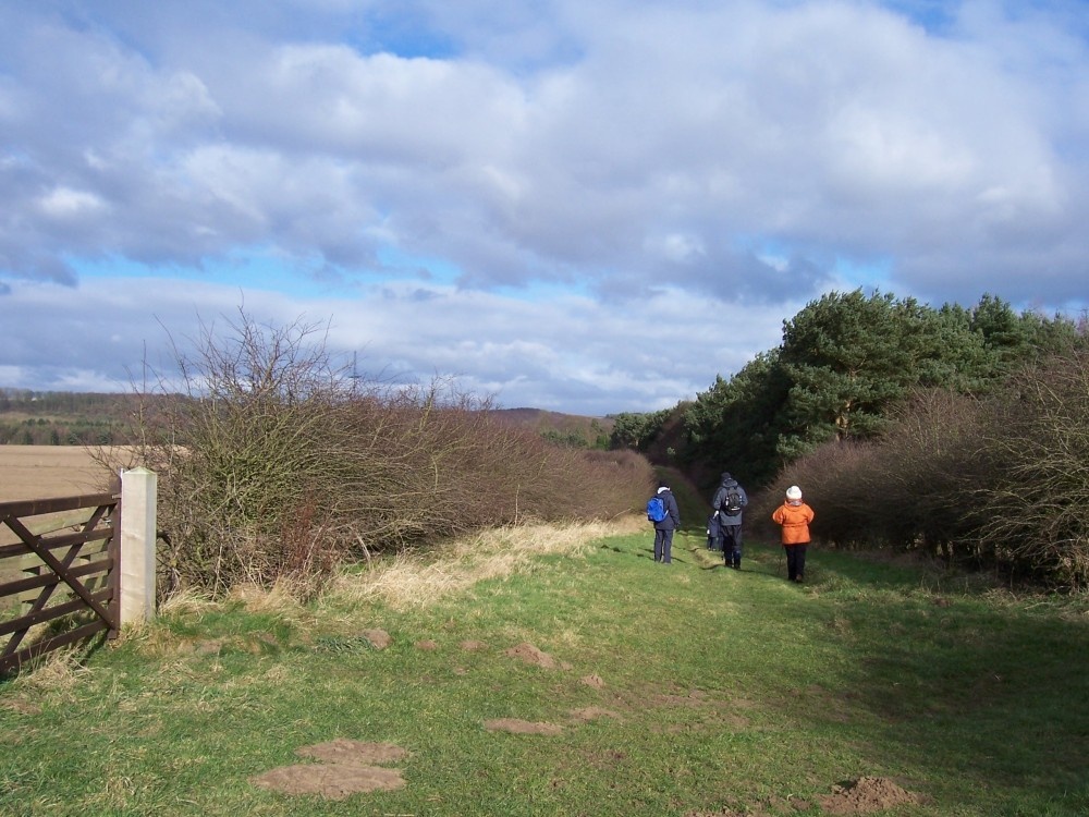 Sand Lane, nr Stenigot, Lincolnshire