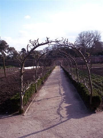 Lost Gardens of Heligan, Mevagissey, Cornwall