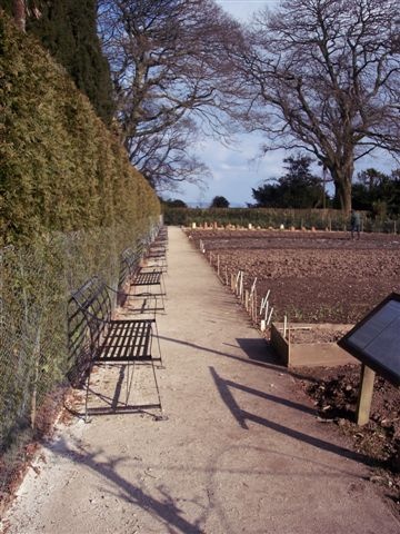 Lost Gardens of Heligan, Mevagissey, Cornwall