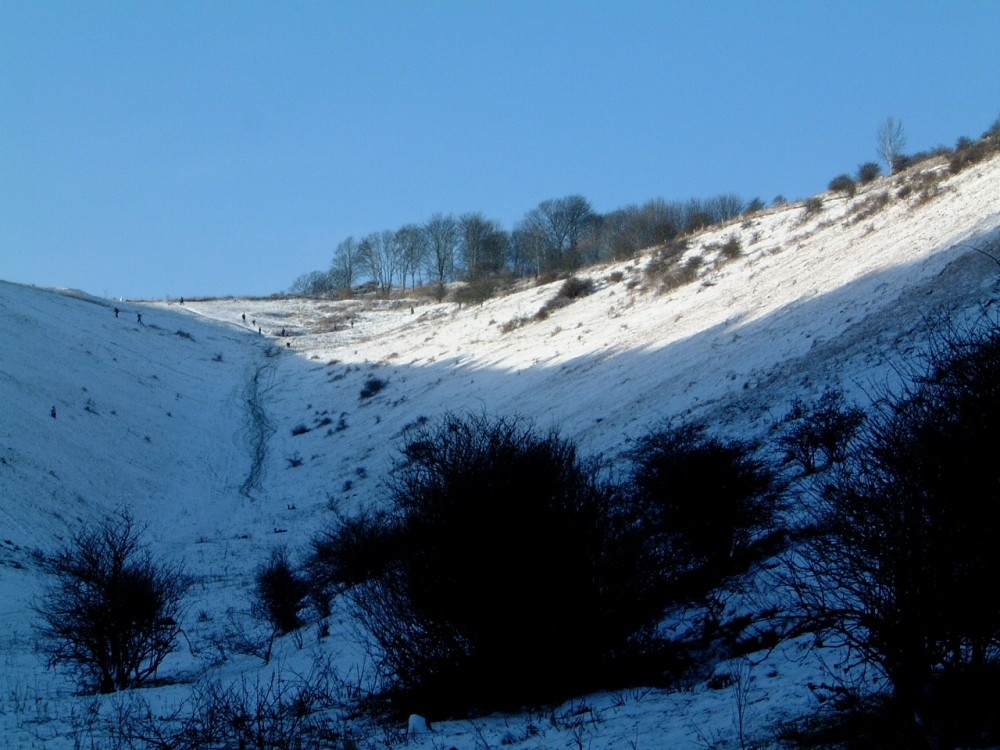 Winter in Devils Dyke Nr Poynings, West Sussex