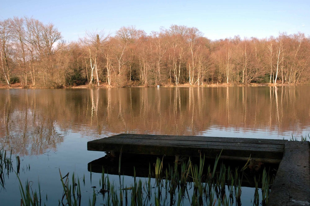 Photograph of Hammer Ponds near Slaugham in West Sussex