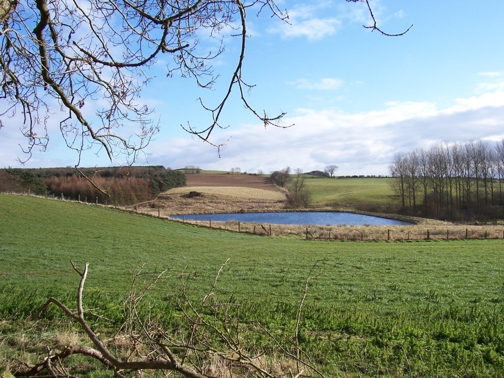 View south from Sand Lane, Stenigot