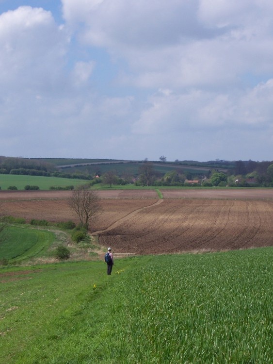 Nr Binbrook, Lincolnshire