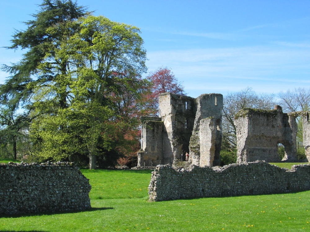 Photograph of Bishop's Waltham Palace Ruins