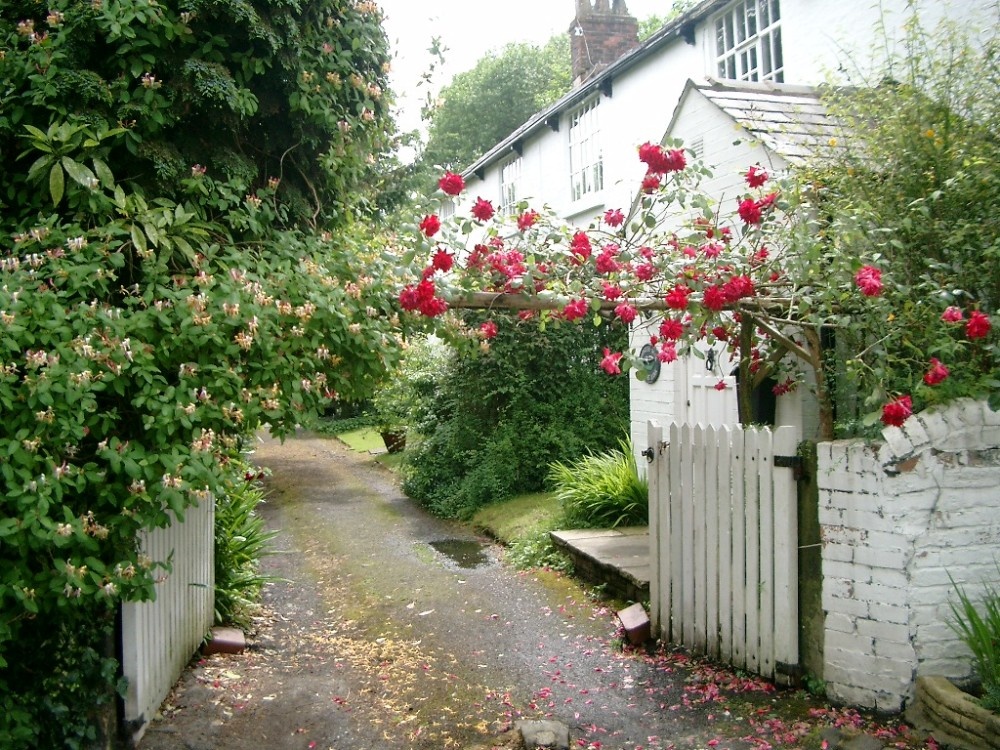 Gilbert Bank, Woodley