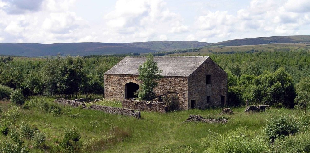 Photograph of Abandoned field barn, Gisburn forest, Hodder Valley, Lancashire