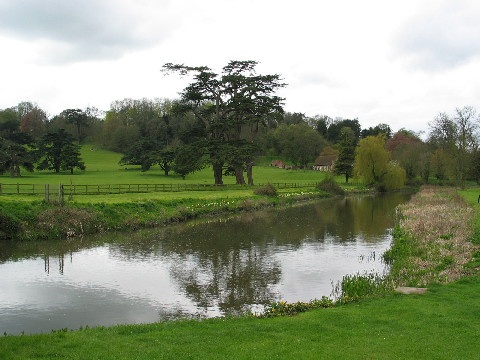 Creek photo by Robin Granse