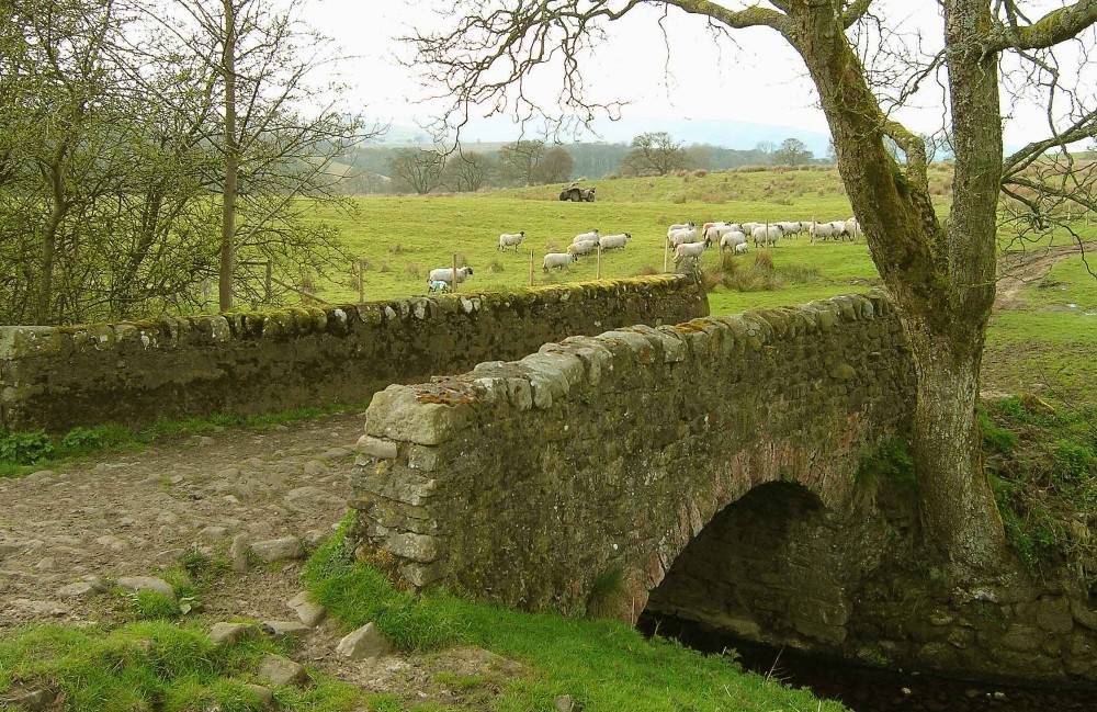 Photo of Farming in the Hodder Valley, Lancashire