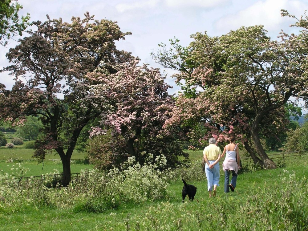 Walking near West Bradford, Lancashire
