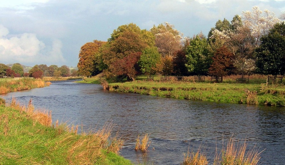 Autumn, River Ribble between West Bradford and Grindleton, Lancashire