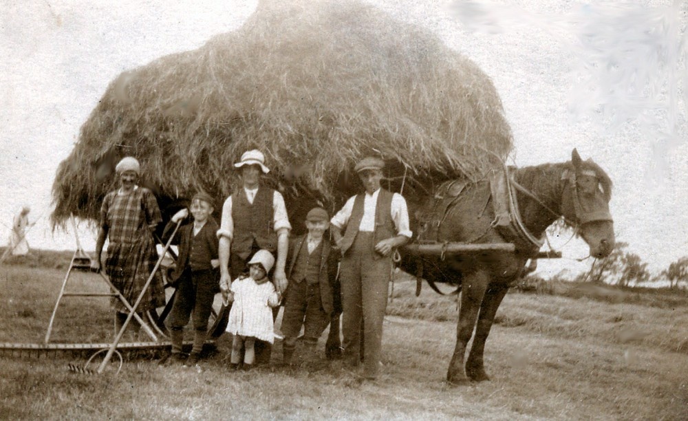 Haymaking at 'Veepings Farm' (about 1930), near Holden, Lancashire