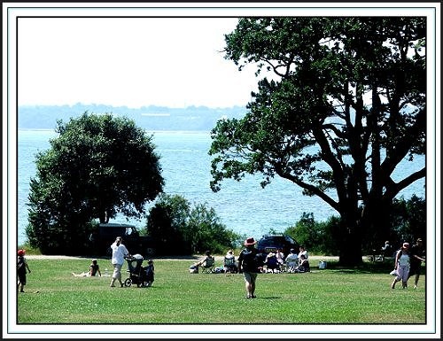 A picture of Royal Victoria Country Park