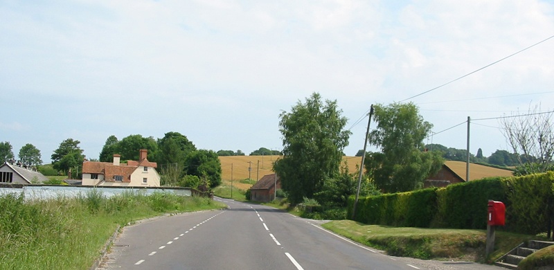 Brook Somborne, Hampshire. June 2003