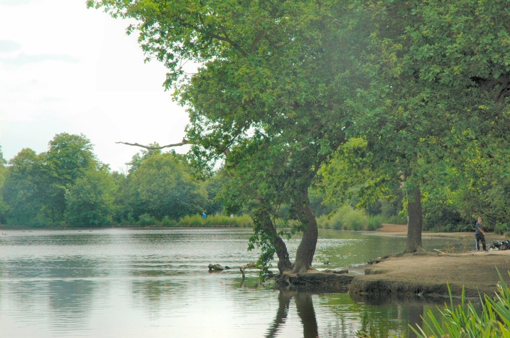 Photograph of Connaught Waters, Epping Forest, Essex