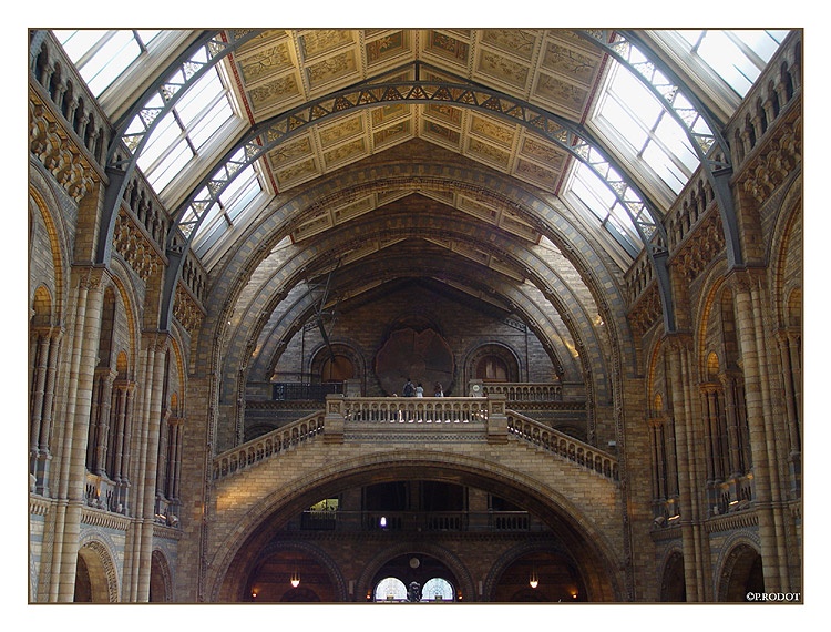 Entrance hall of the museum of natural history in London