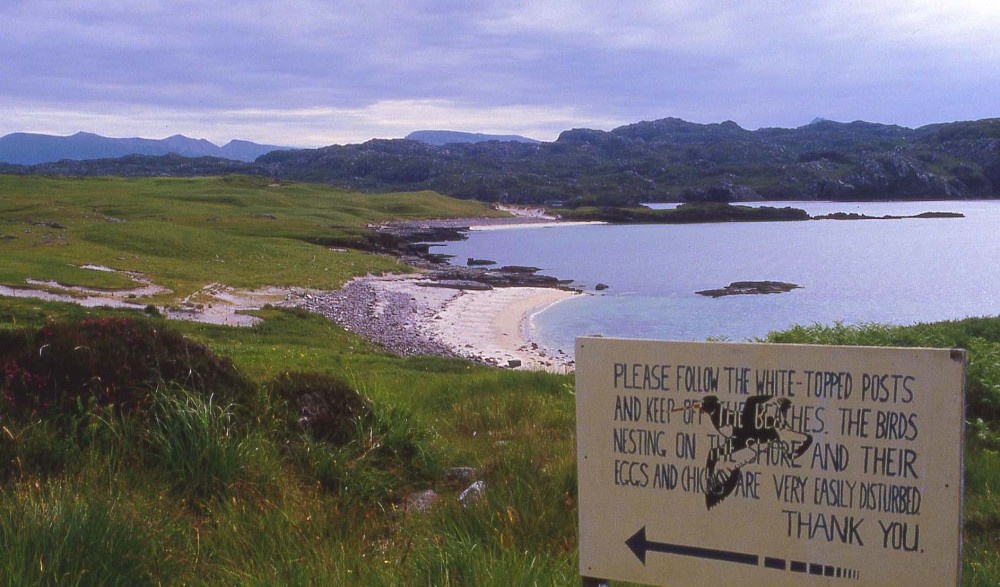 Island of Handa, Scotland