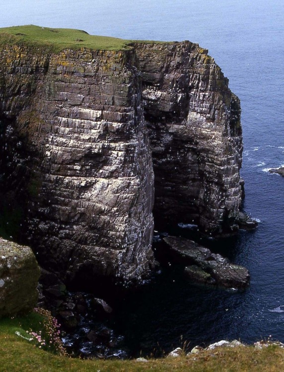 Island of Handa, Scotland