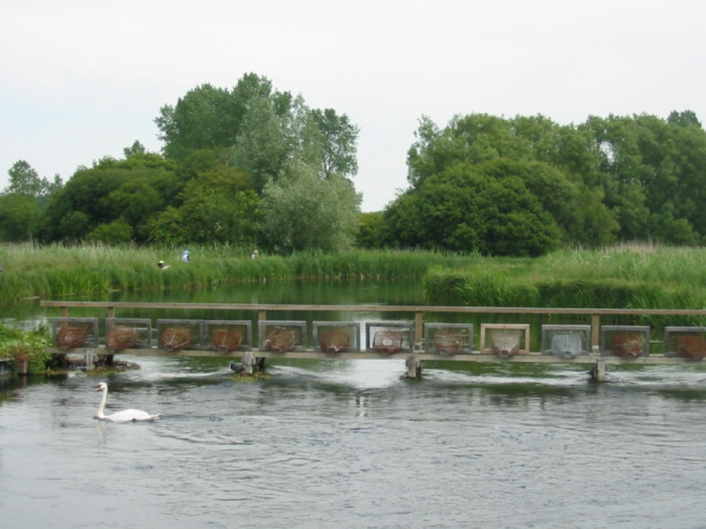 Photograph of River Test at Longstock, Hampshire