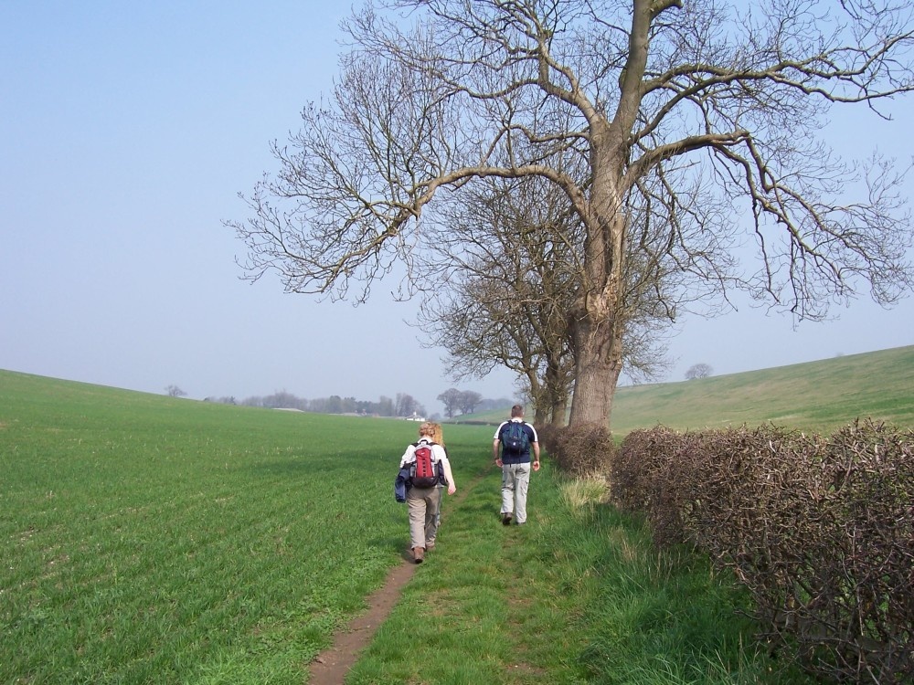 Walking towards Riby Grove Farm, Near Laceby, Lincolnshire