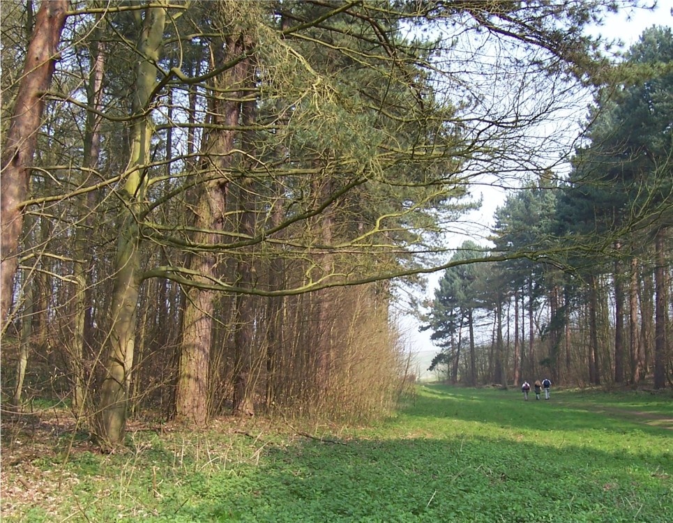 Swallow Vale in lovely Lincolnshire
