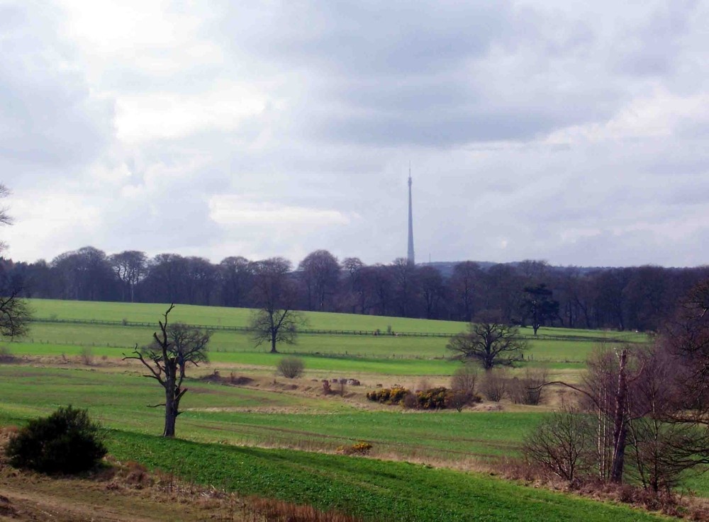 Photograph of Emley Mast from Bretton