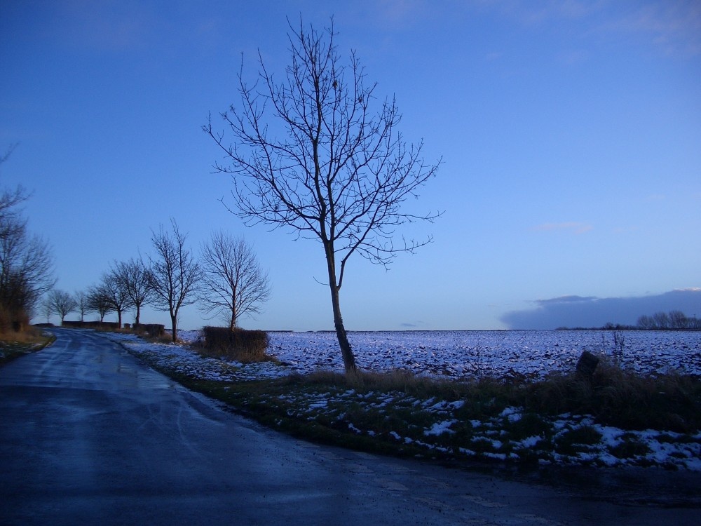 Bleak mid winter, near Tathwell, Lincolnshire.