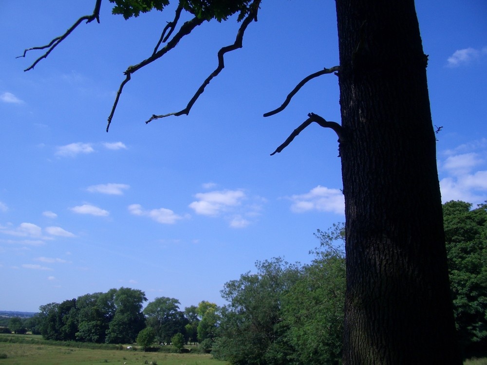 A picture of Lincolnshire