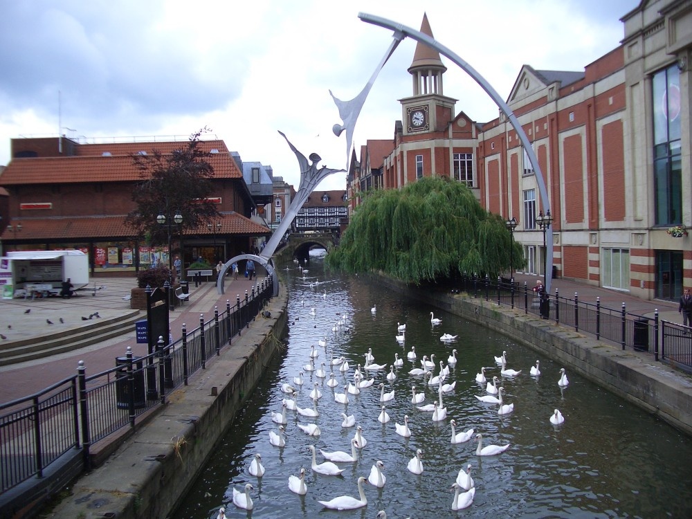 The swans of Lincoln, famed through the ages, as recorded at the time of Bishop Hugh himself.