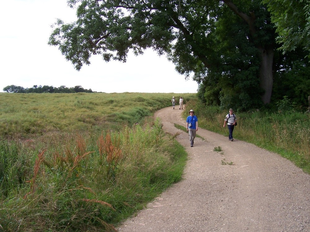 Thorpe Le Vale nr Binbrook July 15th 05