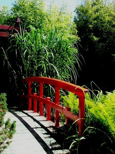Red bridge, japanese garden, Stapehill.