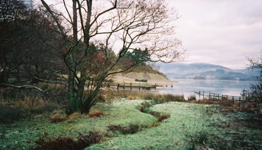 Photograph of Irene's view from Brandelhow. Derwent Water, Cumbria