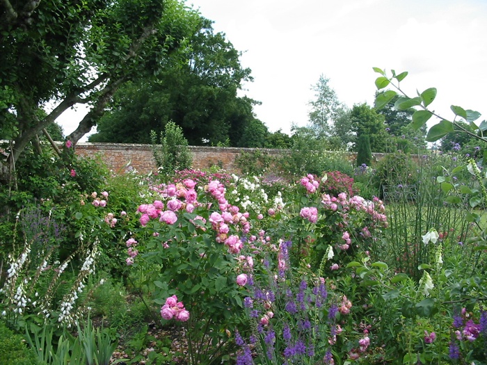 Mottisfont Abbey Rose Garden, Mottisfont
