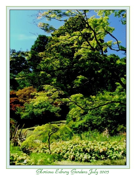 July at Exbury Gardens.