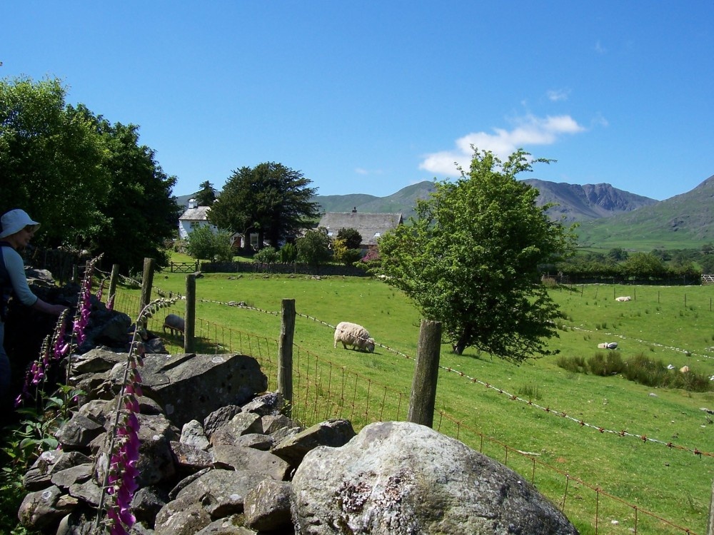 Hoathwaite Farm nr Coniston, Cumbria July 05