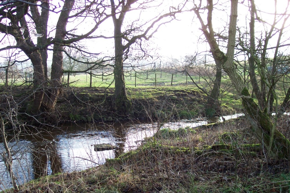 A picture of Millhouse Green